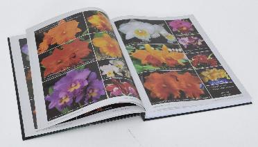 หนังสือภาพดอกกล้วยไม้ งานพิมพ์ 4 สี  (140 หน้า)  กระดาษอาร์ทมัน 100 แกรม
