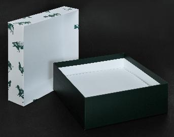 พิมพ์ออฟเซ็ท
    ฝาบน กล่องสีขาว โลโก้สีเขียว
    ฝาล่างกล่องสีเขียว
เคลือบลามิเนต 2 ด้าน (ด้านนอกและด้านใน)
ด้านในกล่องมี Support แบ่ง 2 ช่อง
ปั๊มไดคัท + ขึ้นรูปกล่อง