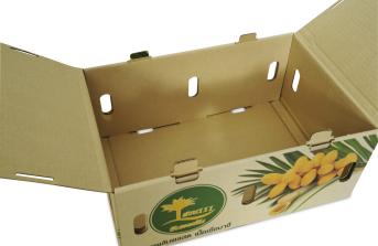 กล่องลูกฟูกสำหรับบรรจุ/ขนส่งผลไม้ เจาะช่องระบายอากาศรอบกล่อง 